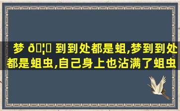 梦 🦍 到到处都是蛆,梦到到处都是蛆虫,自己身上也沾满了蛆虫什么意思